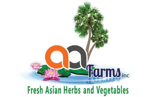 1_about-us-fresh-asian-herbs-aa-farms-logo-